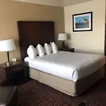 Best Western Pony Soldier