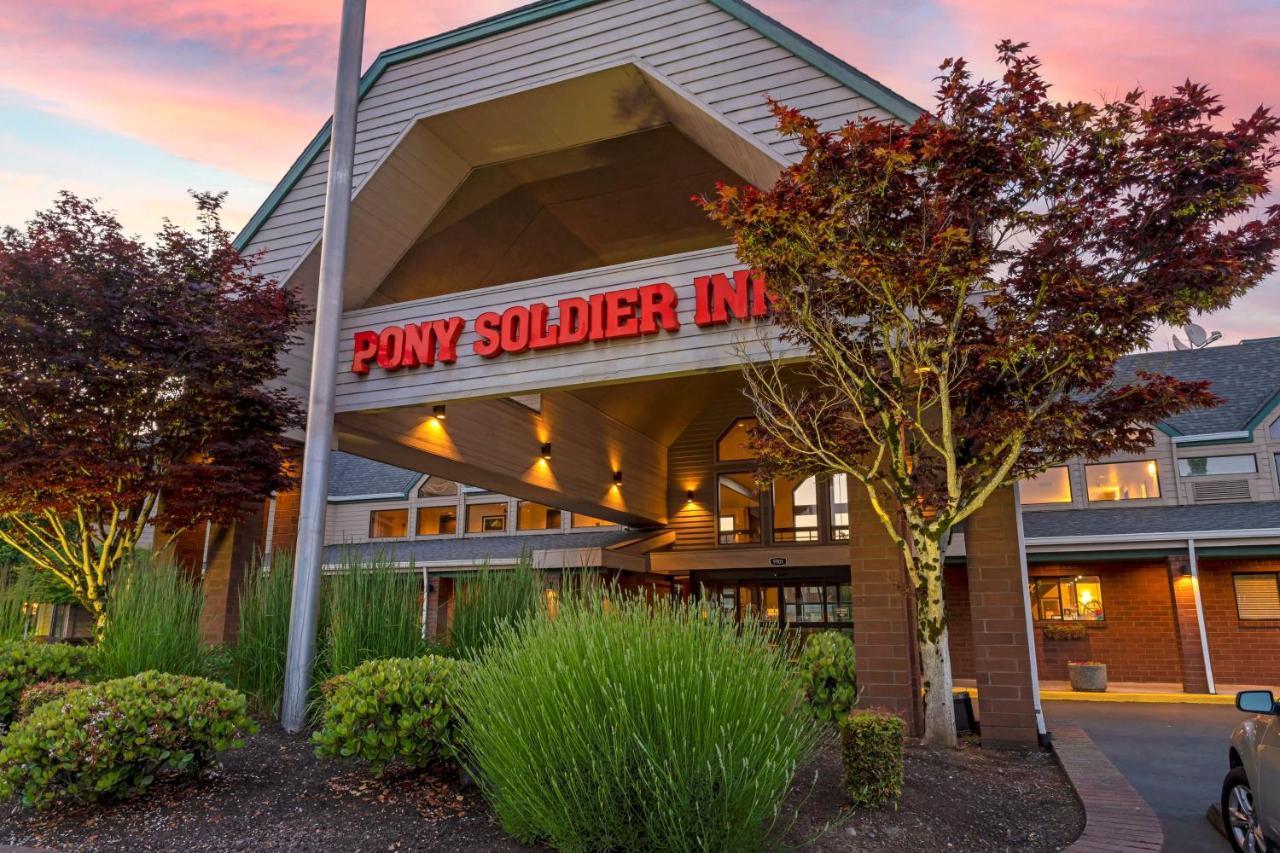 Hotel Western Pony Soldier