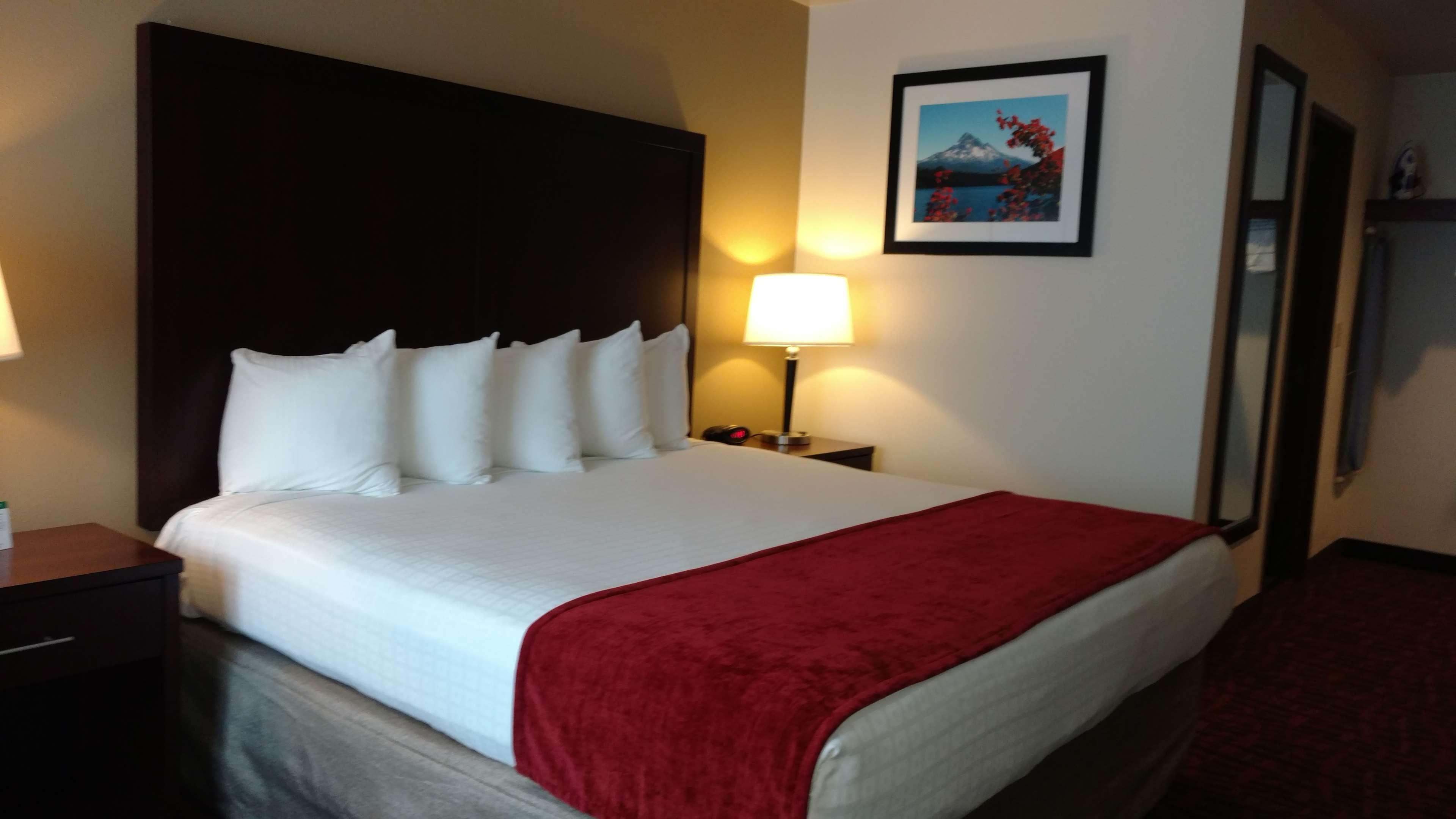 Hotel Western Pony Soldier